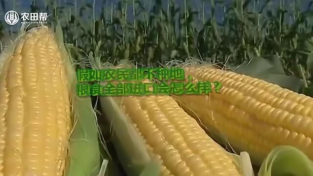 假如农民都不种地,粮食全部进口会怎么样?