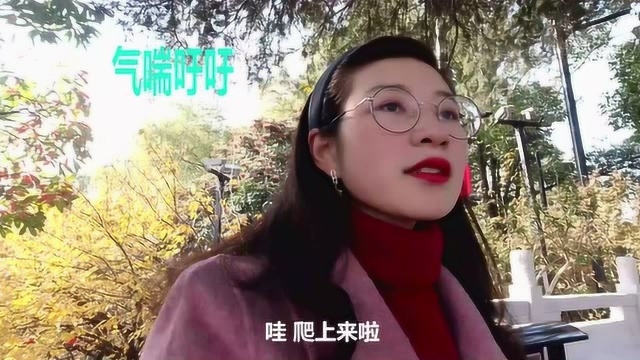 南京凤凰山:这个景点不要钱风景还不错,美女穷游一口气爬到顶