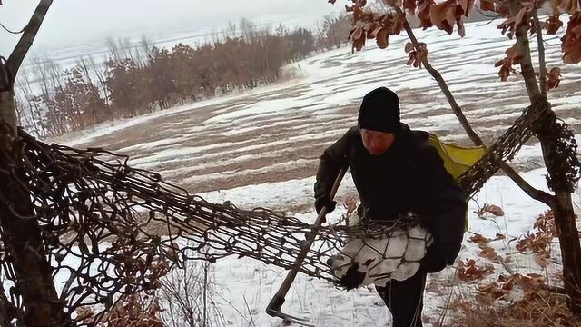 野猪拦网缠绕一团,靠近一看赶快把网摘了,这是发现了啥?