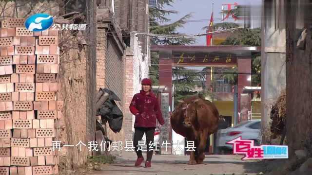 幸福路上的甜蜜求助1