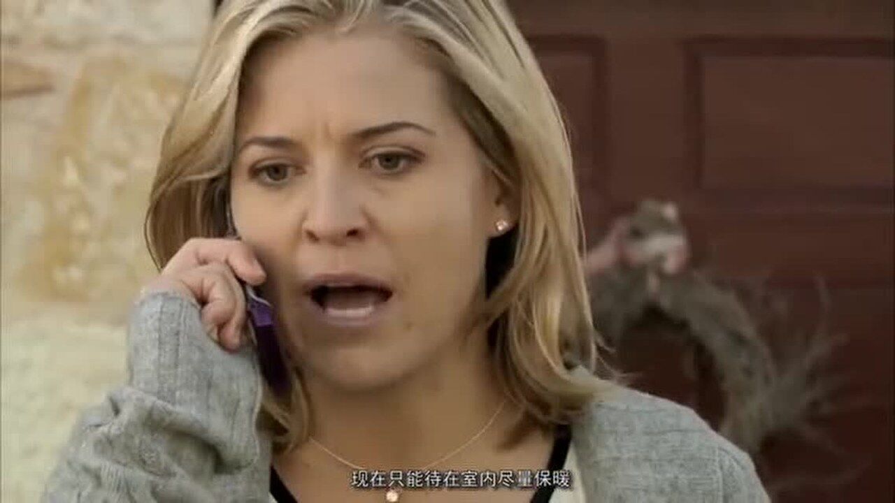 速看灾难片《极地寒流》,极限寒流来袭,夏威夷都被瞬间冻上了