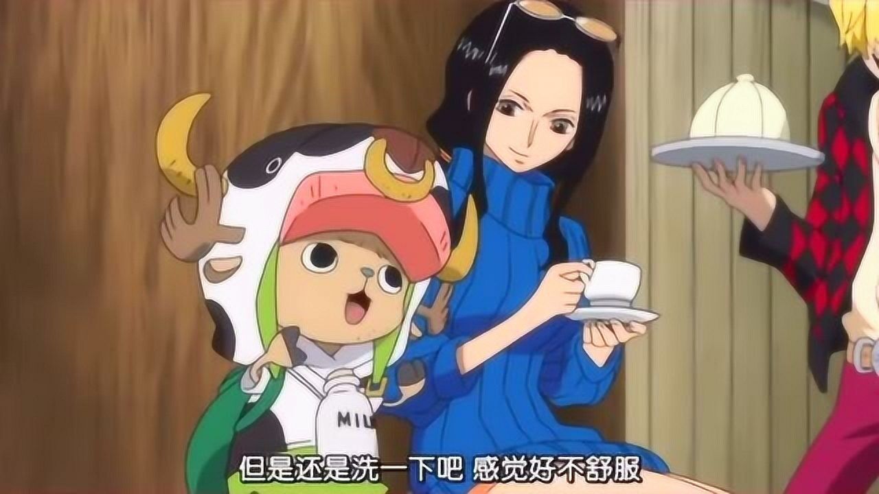 罗宾与乔巴的日常,香吉士只有羡慕的份!