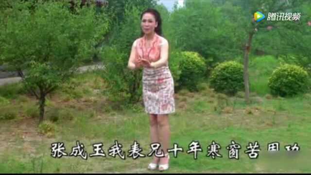 洛阳曲剧 曲剧经典唱段