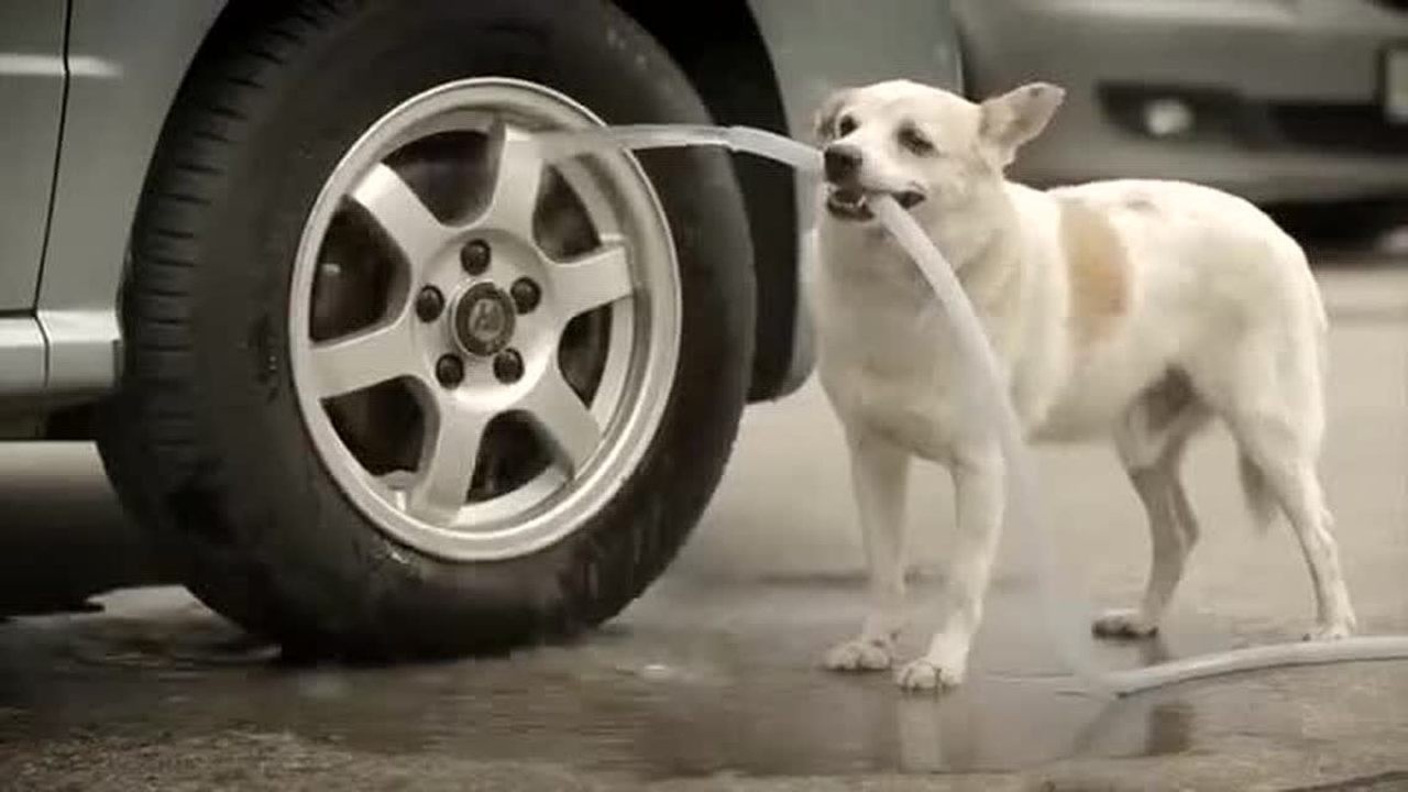 泰国创意经典广告！保持善良！_高清