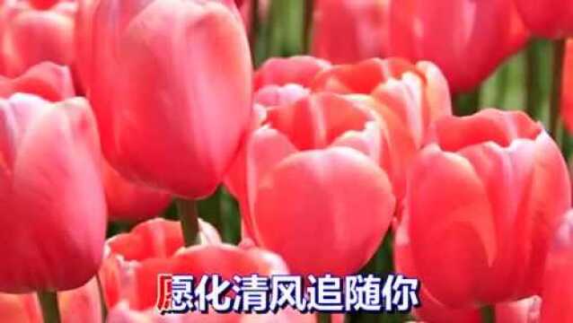 一首伤感情歌《寄相思》