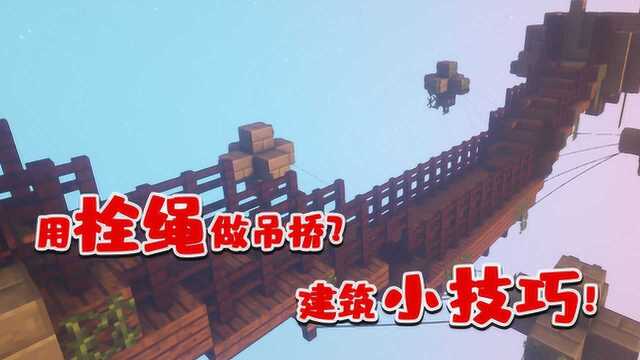 我的世界:无模组教你制作超帅吊桥!只需栓绳和木头即可制作!