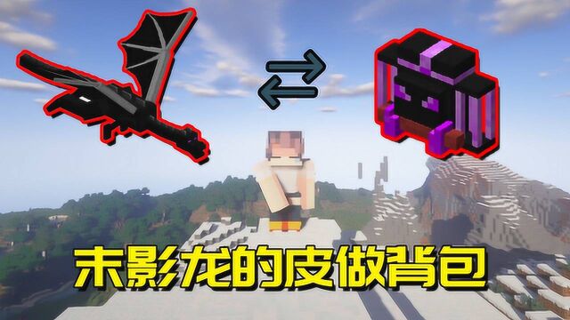 我的世界Mod:末影龙的皮可以做背包,从此末地变成重点保护区!