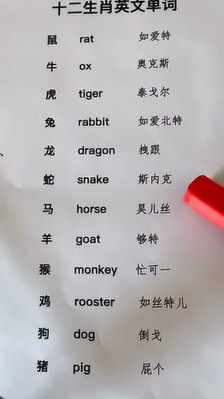 今天教大家十二生肖英文单词你是属什么英文怎么说评论下来