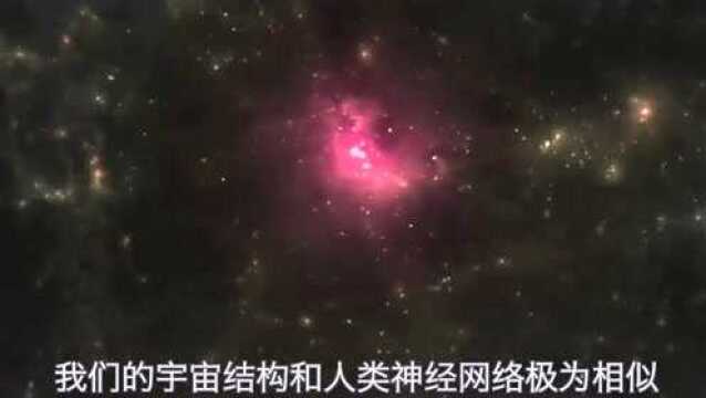 宇宙星系结构,人类的神经网络!