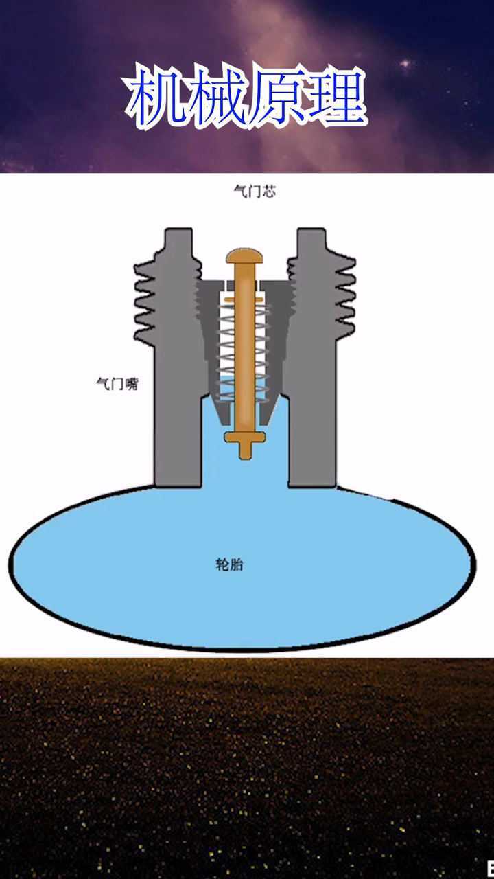 气门芯的内部构造,我想很多人都没看过吧!