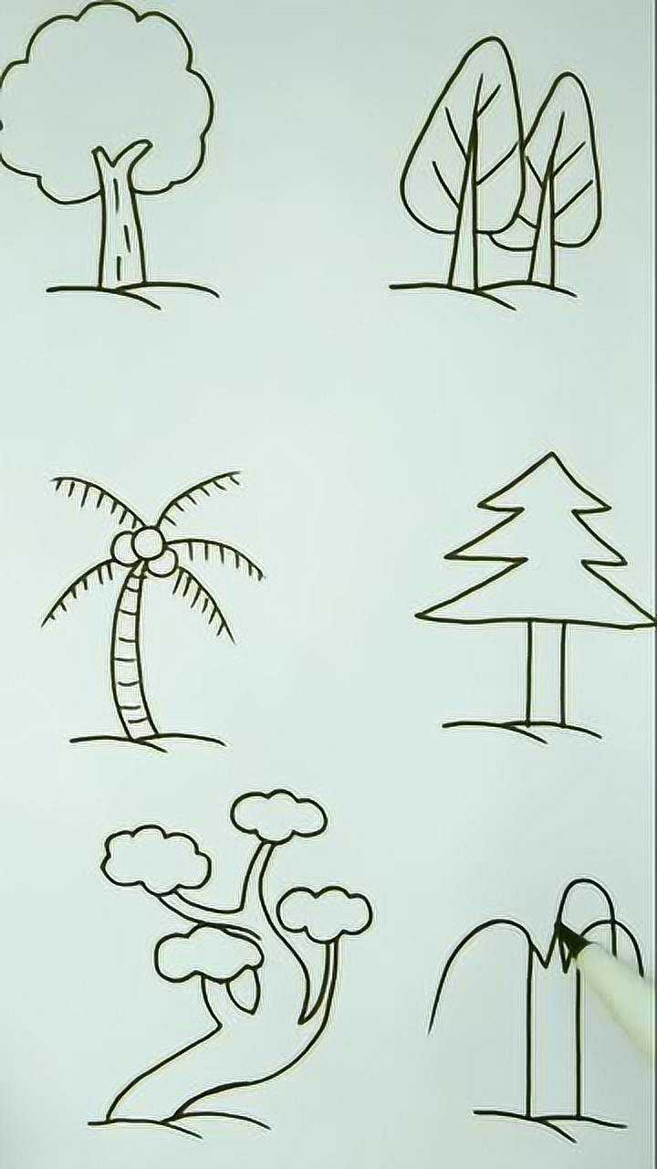 各种树木的画法简笔画