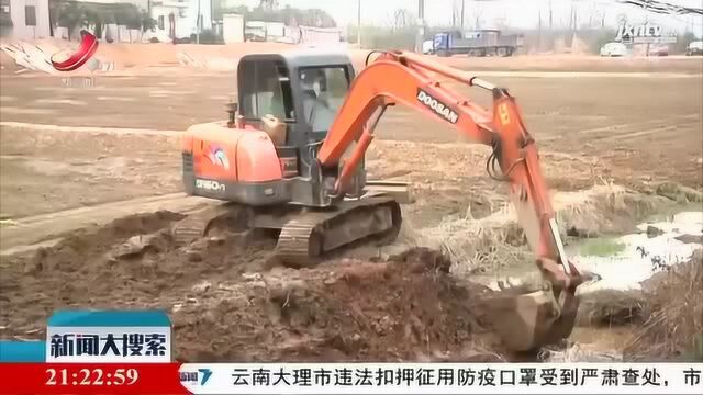 丰城:18万余亩高标准农田建设项目全面复工