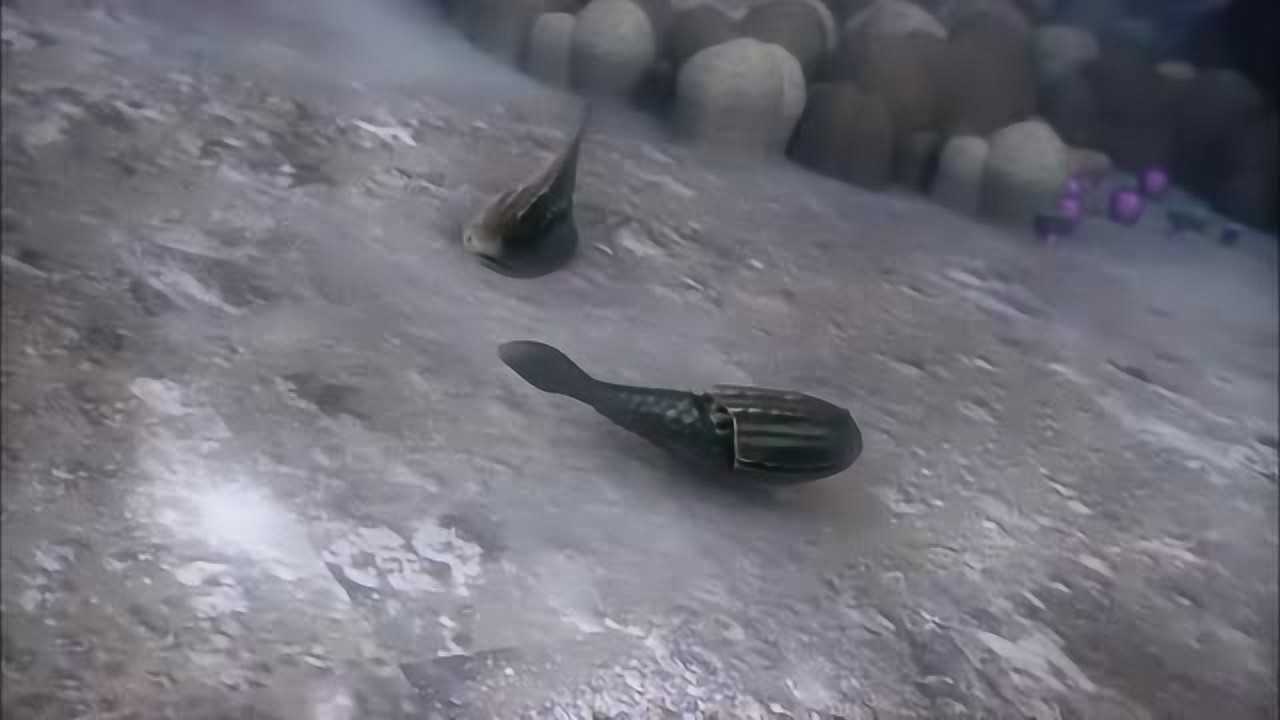 海洋结冰鹦鹉螺消失人类祖先星甲鱼变出好多鱼恐龙史前时代