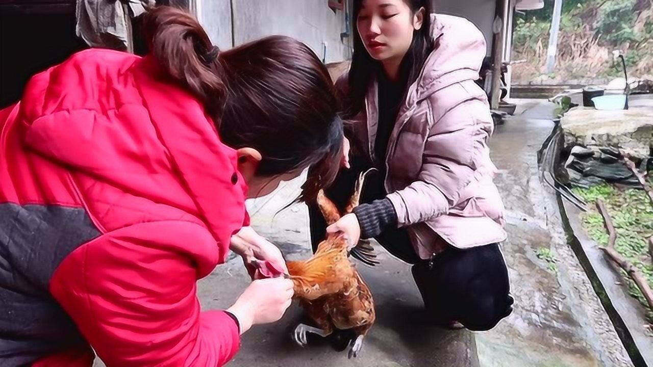 猪肉32块一斤太贵,农村姑娘杀鸡吃,理由太出乎意料了