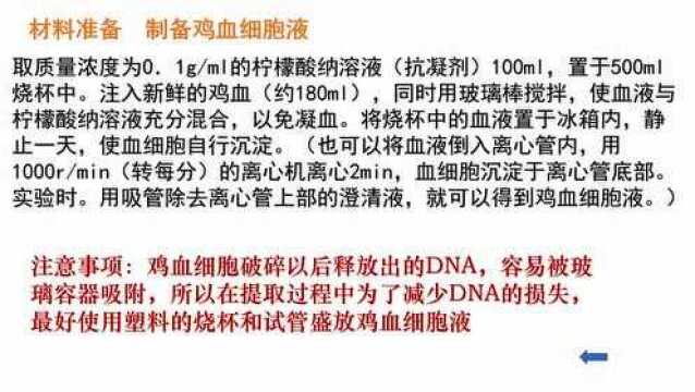 3.3高二生物 DNA的粗提取与鉴定