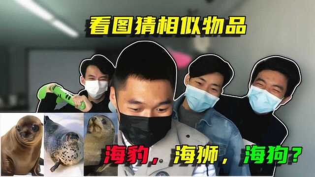 办公室大乱逗:相似度80%的东西,同事连屎壳郎和独角仙都分不清