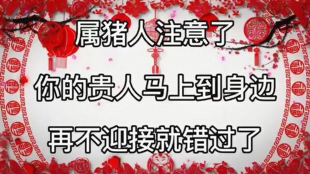 属猪人注意了:你的贵人马上到身边,再不迎接就错过了!