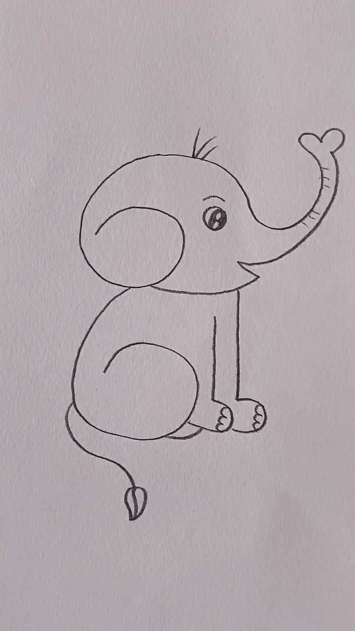 教大家简笔画大象简单易学哦