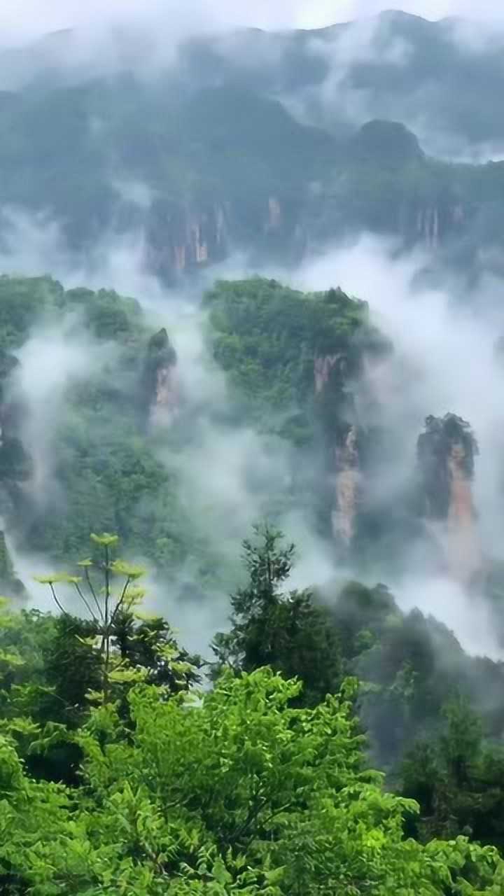 群峰竞秀薄雾绕鸟语花香入云霄真是人间仙境
