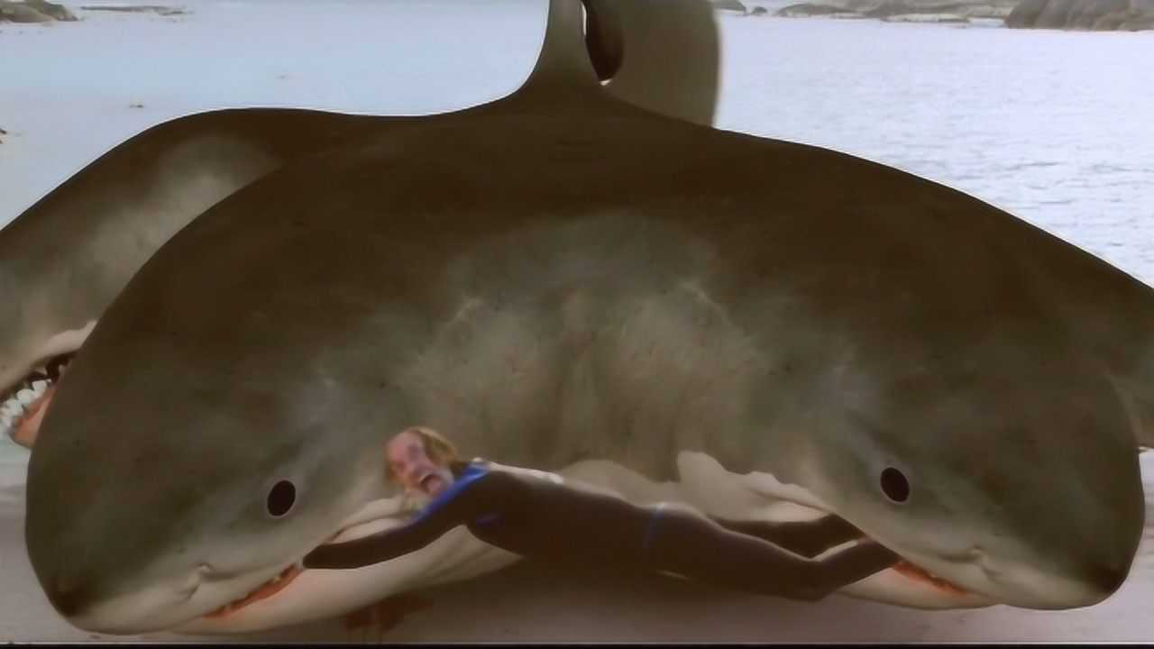 盘点:这些变异鲨鱼,你见过吗?