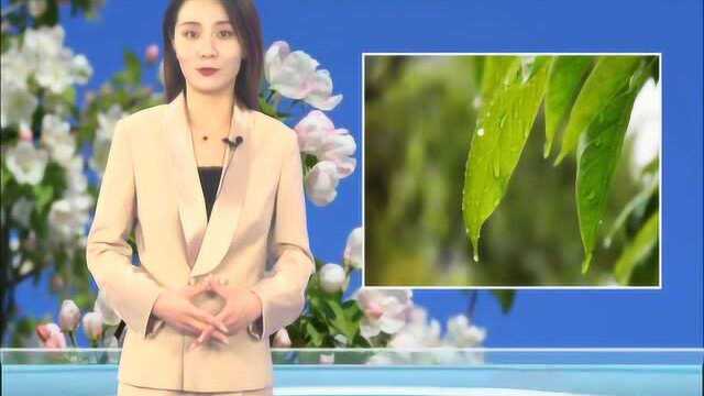 张家口天气预报0715