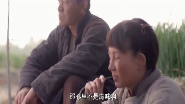 村西社的麦苗都显绿了,东社的麦苗像没奶吃的孩,原因是这个!