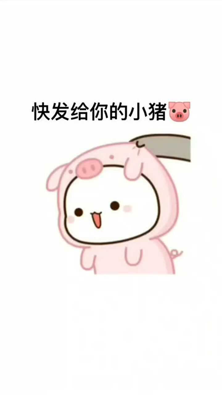 哦你在我就放心了最近有人偷猪我怕你出事哈哈哈