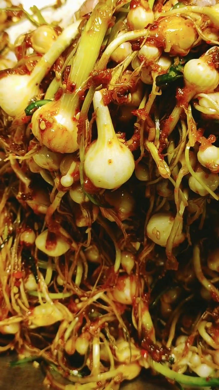 小根蒜这样做老好吃了,早餐喝粥必备!