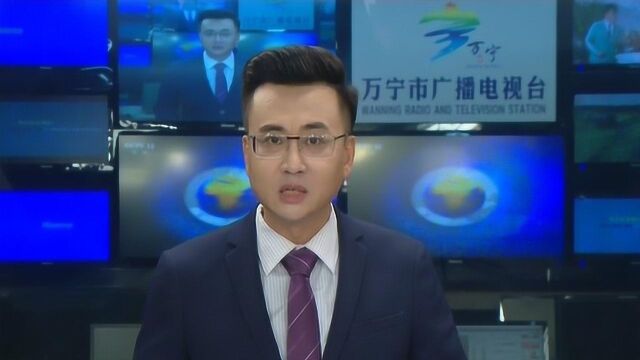 市领导现场督办国家林草局驻广州专员办交办的关于我市森林督察图斑整改案件