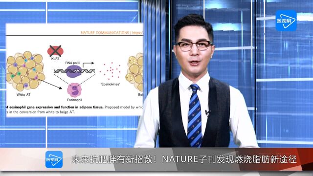 抗肥胖,有新招!Nature子刊发现,燃烧脂肪新途径