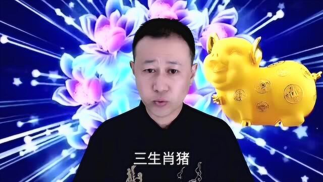 生肖属兔属马属猪的朋友,运势大吉大利,想不富都难