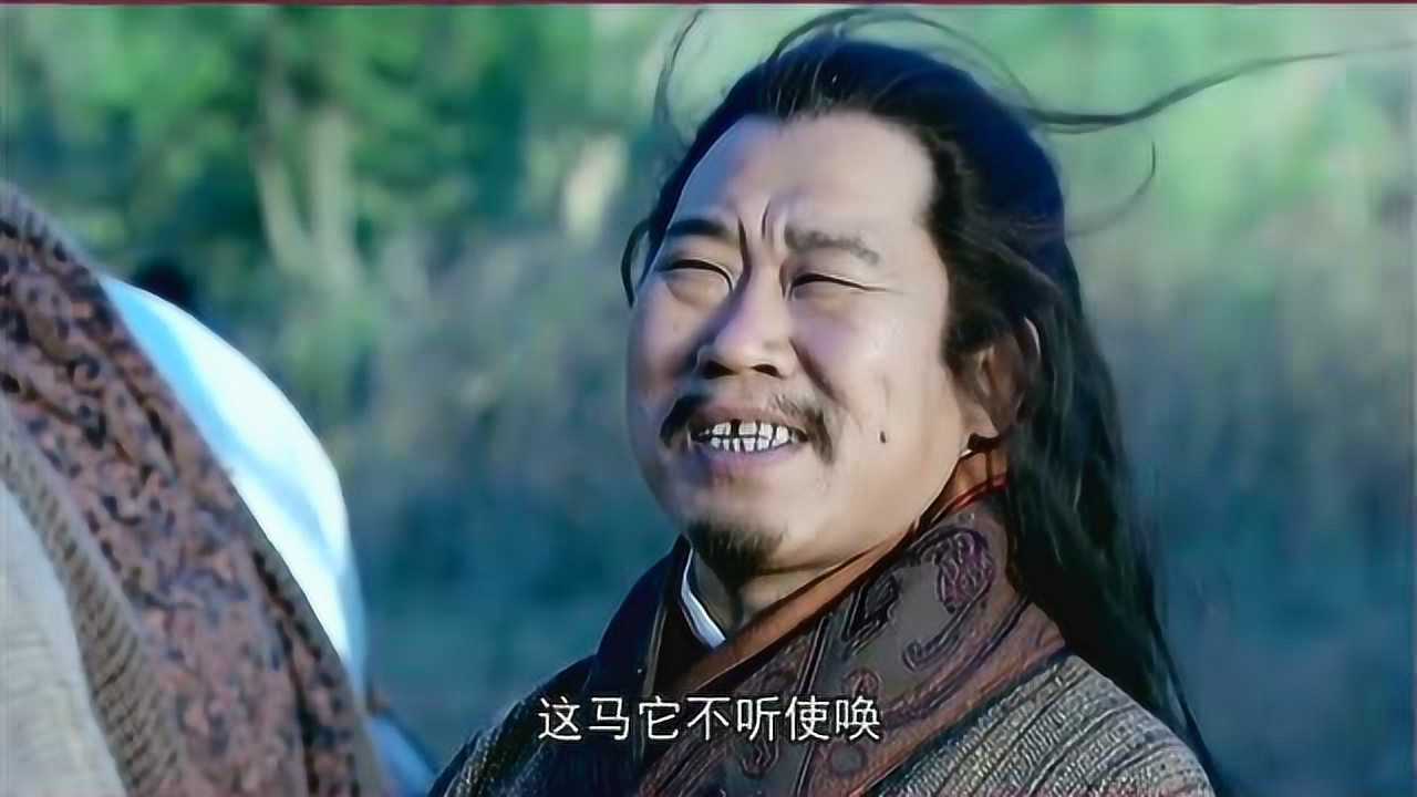 新三国庞统字士元号凤雏此人乃天下奇才可惜了