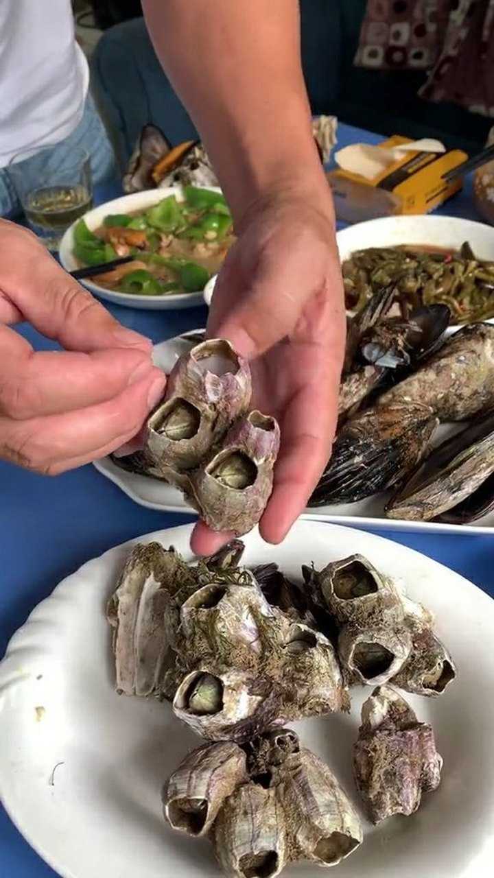 藤壶你们知道怎么吃吗