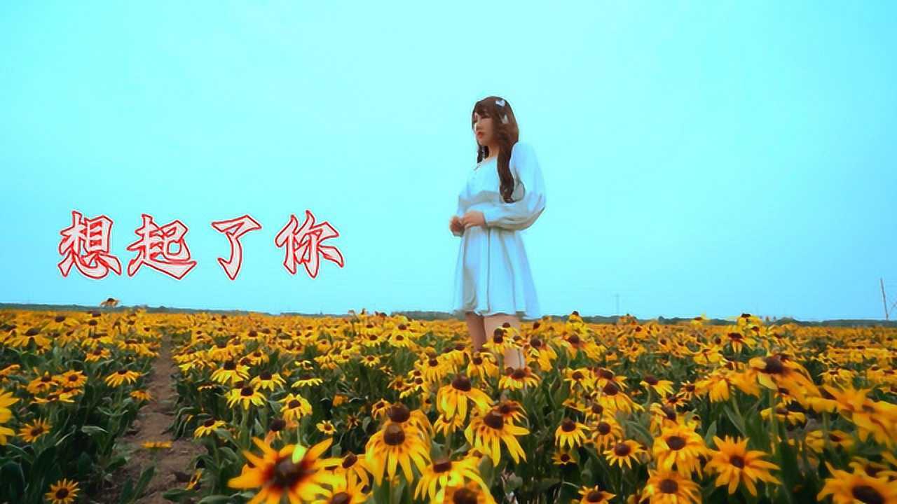 一首抖音热歌想起了你节奏欢快忍不住跟着哼唱起来