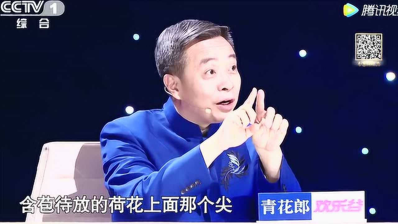 经典咏流传康震解读小池创作背景童真又有哲理