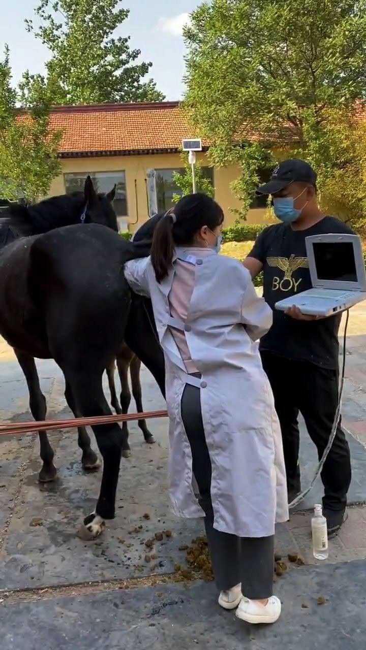最美女兽医来了，不仅医术高明，长得还漂亮_腾讯视频
