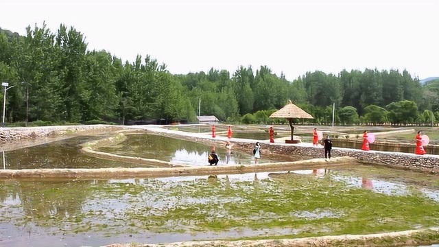 党建引领,实现脱贫致富奔小康,河南鲁山团城乡清水河多彩田园一期工程开园