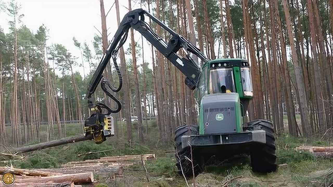 德国经济林区采伐树木,实拍庞赛和约翰迪尔的木材砍伐机作业