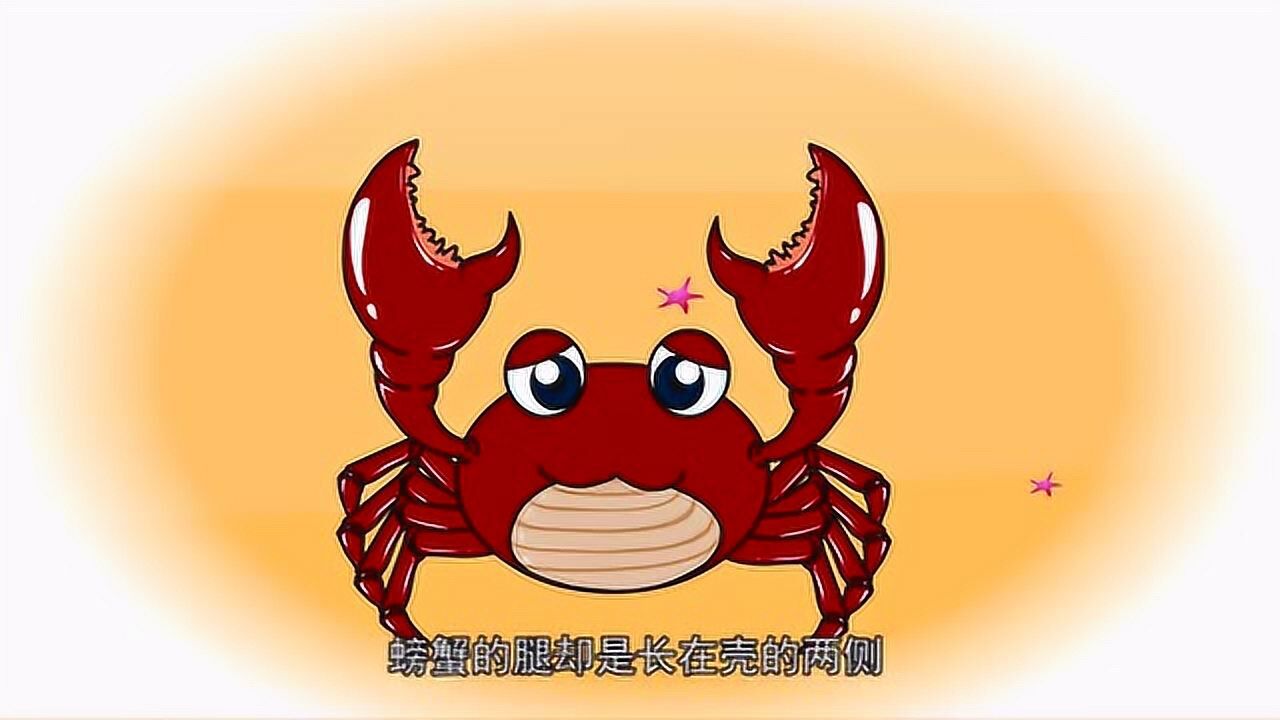 儿童科学馆:你知道螃蟹为什么横着走吗?你知道吗?