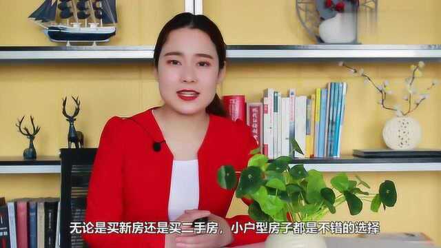 为何小户型房的销量越来越好?内行人表示:主要是因为这2点