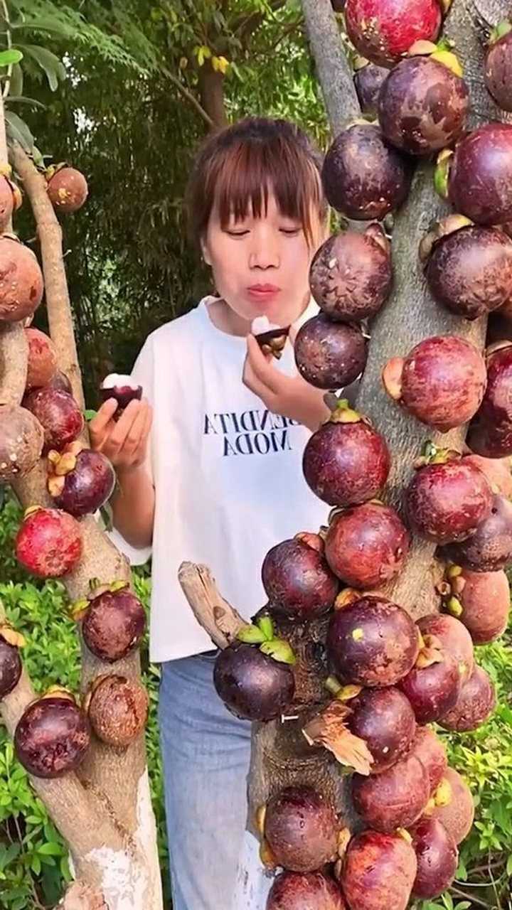 山竹是这样长出来的吗?长见识了