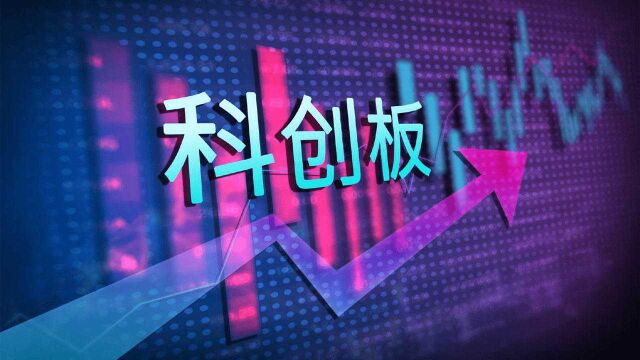 一周岁的科创板 如何让中国科技企业\