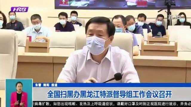 全国扫黑办黑龙江特派督导组工作会议召开 确保收官之年取得全胜