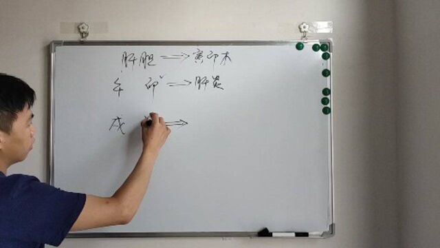 八字命理疾病如何分析?寅卯木代表哪些疾病?