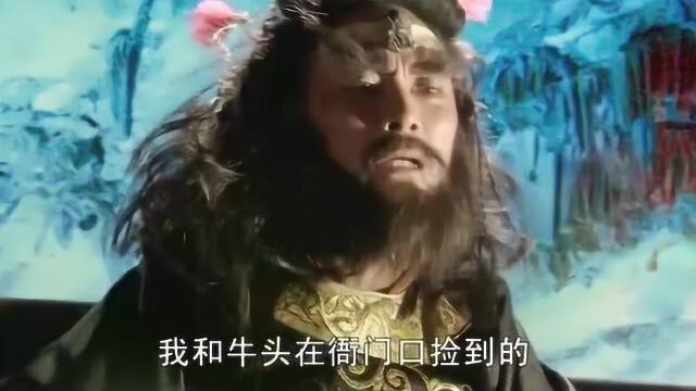 阎王爷还有犯糊涂的时候,翻生死簿,愣是没明白公子的前世