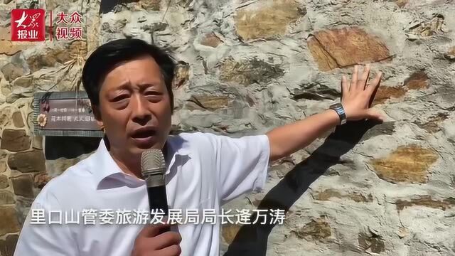 走向我们的小康生活,媒体团“拍了拍”山东ⷥ聦𕷀