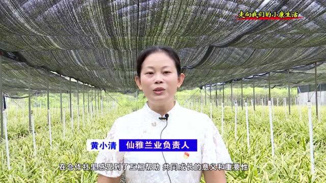 仙台专业合作社党支部发挥战斗堡垒作用 带领群众奔康致富