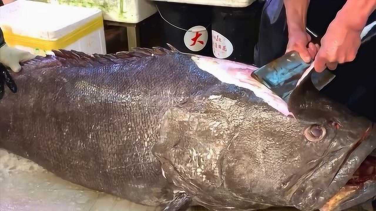 200斤巨型龙趸分解现场鱼龄至少50年当之无愧的石斑之王