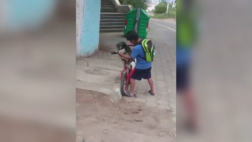 超有爱！厄瓜多尔小男孩出发前给狗狗戴口罩