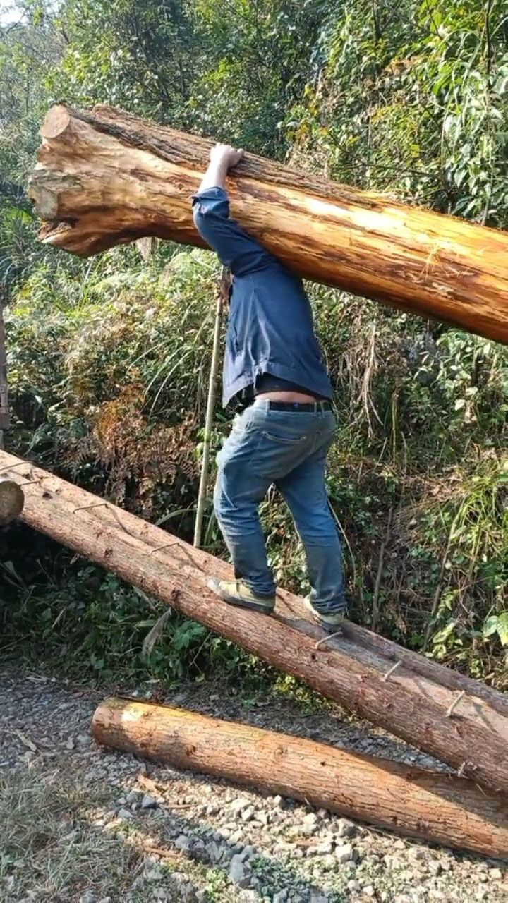 为了生活再苦也要扛,300多斤的木头扛的真的好累